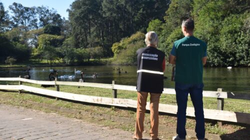 Foco de gripe aviária no Zoológico de Sapucaia é encerrado após 14 dias sem mortes de aves