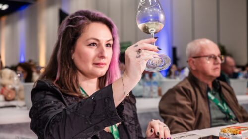 Inscrições para a 33ª Avaliação Nacional de Vinhos – Safra 2025 seguem até o dia 18 de julho
