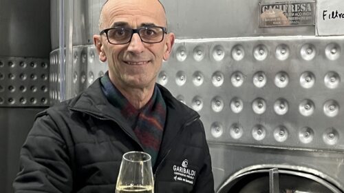 Família Cattani soma quatro gerações na história da Cooperativa Vinícola Garibaldi