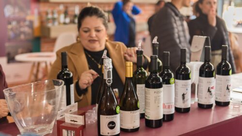 Consevitis-RS lança edital para credenciamento de vinícolas gaúchas para a Expointer 2025