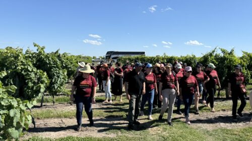 Cooperativismo integra conhecimento à jornada de desenvolvimento do produtor rural