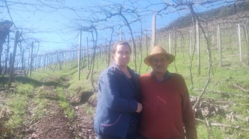 Dia do Colono: Família Menegotto atua há mais de sete décadas no Vale Aurora, em Bento