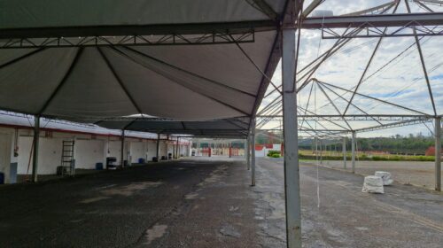 Com expectativa renovada, Mostra Guaporé começa a ganhar forma