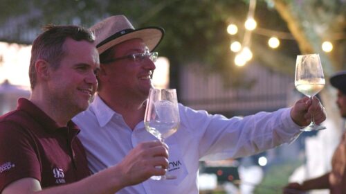 NOVA lançará vinhos desalcoolizados em 2026