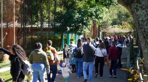 Cerca de 20 mil pessoas visitaram o Parque Zoológico nos primeiros quatro dias de reabertura