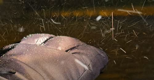 Sábado registra neve no Rio Grande do Sul