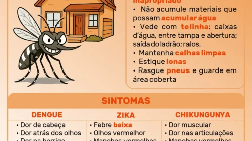 Aedes aegypti: cuidados necessários e colaborativos para não agravar a proliferação