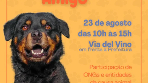 Feira de adoção de animais será realizada no dia 23 na Via del Vino
