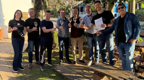 Aprolemos: vinícolas de Faria Lemos se unem para valorizar território, vinho e enoturismo