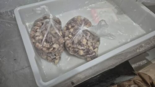 FORÇA-TAREFA SEGURANÇA DOS ALIMENTOS APREENDE 500 QUILOS DE PRODUTOS IMPRÓPRIOS, EM GARIBALDI