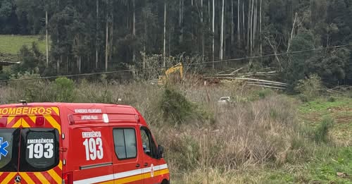 Identificado homem que morreu após ser atingido por árvore em Ipê