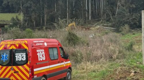HOMEM MORRE APÓS SER ATINGIDO POR QUEDA DE  ÁRVORE, EM IPÊ