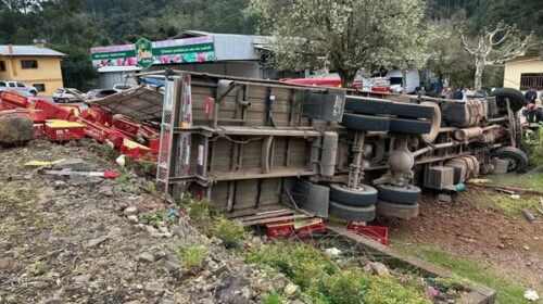 CAMINHÃO CARREGADO DE FRANGOS VIVOS TOMBA NA BR 470, ENTRE SÃO PEDRO DA SERRA E BARÃO