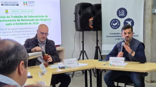Subcomissão debate retomada econômica, obras de prevenção e alerta para impacto das enchentes na saúde mental