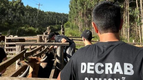 Rio Grande do Sul apresenta melhora histórica nos indicadores de crimes no campo com ações na área da segurança