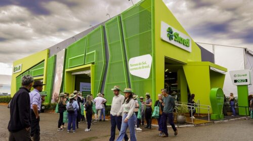 Sicredi reafirma liderança e impulsiona o agronegócio na Expointer 2025