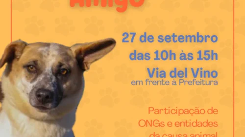 Feira de Adoção – Adote um Amigo ocorre neste sábado, 27 de setembro, na Via Del Vino