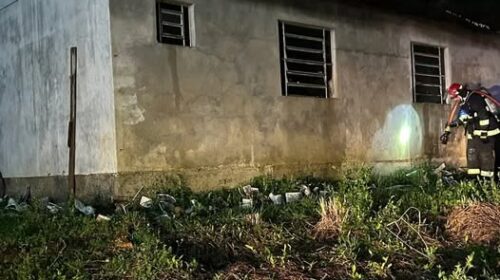 Identificada a vítima de homicídio no interior de Carlos Barbosa