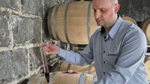 Na ProWine, Cooperativa Vinícola Garibaldi faz pré-lançamento do vinho Harmonia