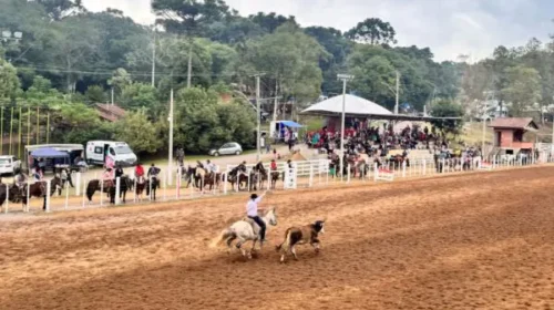 Copa Bento de Laço ocorre neste fim de semana na ABCTG