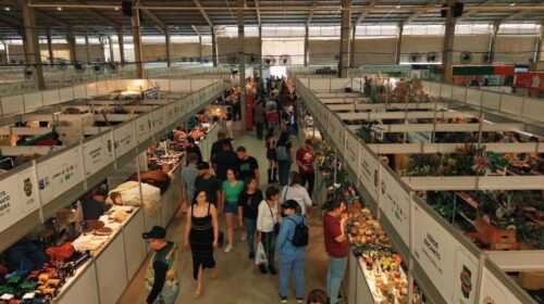 Com maior número de expositores da história, Pavilhão da Agricultura Familiar apresenta novidades na Expointer