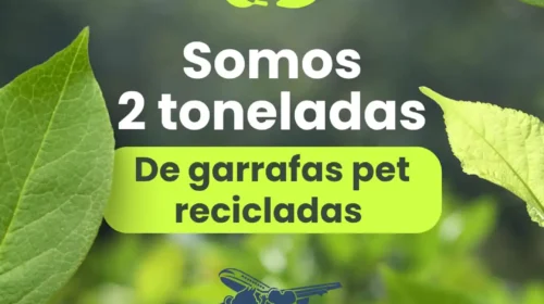 EMEF Tancredo de Almeida Neves: projeto socioambiental une Educação Financeira e Sustentabilidade na formação de cidadãos conscientes