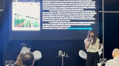 Vale dos Vinhedos é referência em destino enoturístico