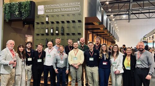 Na ProWine São Paulo, Vale dos Vinhedos destaca primeiro vinho coletivo com Denominação de Origem do país