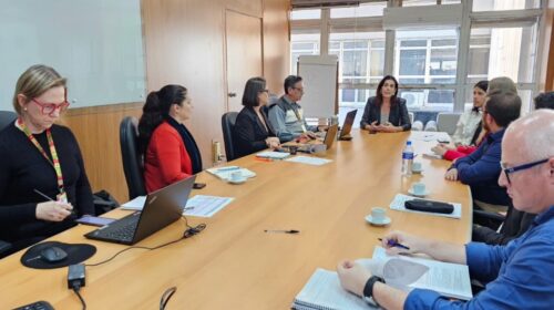 Comitê Científico de Adaptação e Resiliência Climática recebe novos integrantes